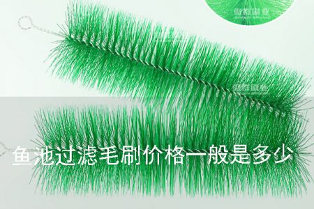 魚池過濾毛刷的價格一般是多少