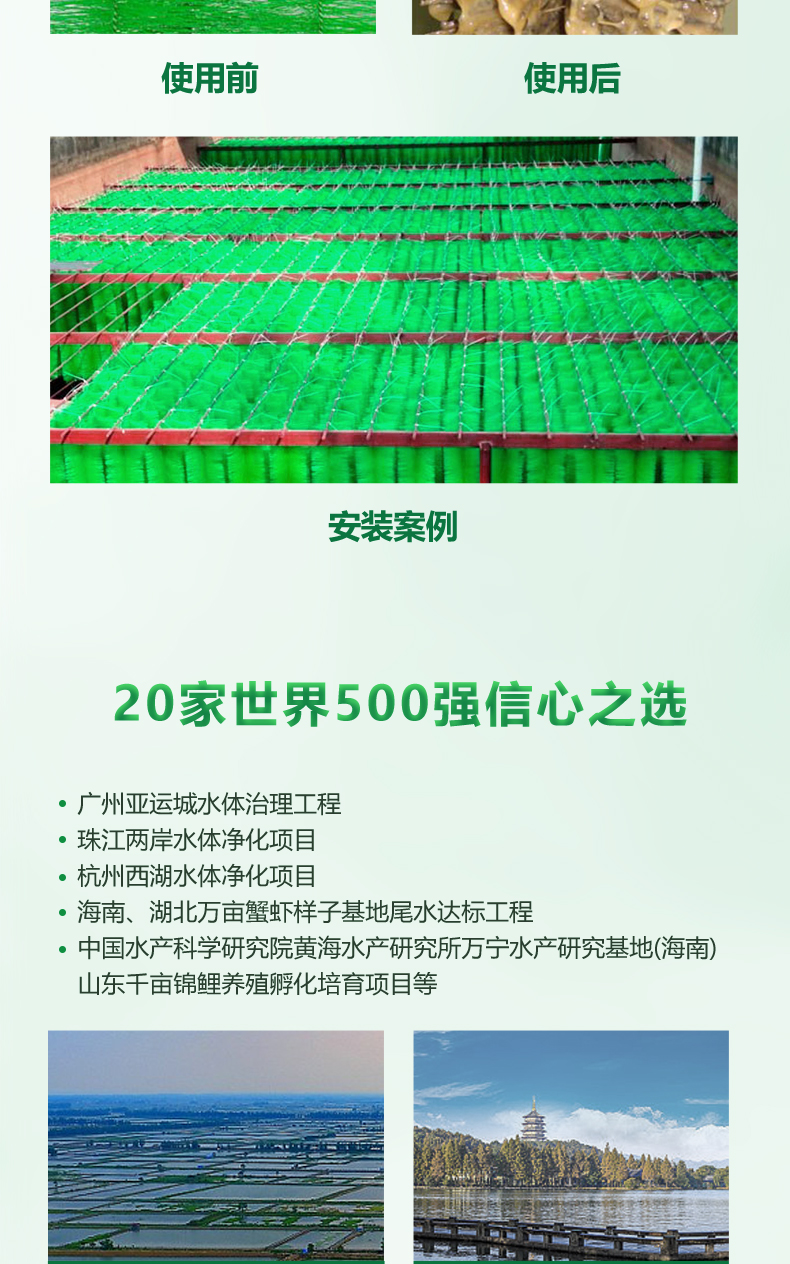 蝦蟹過濾毛刷08