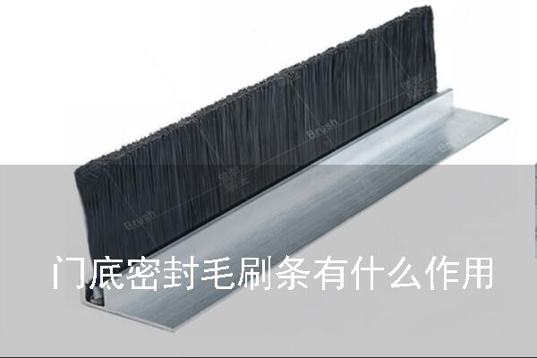 門底密封毛刷條作用
