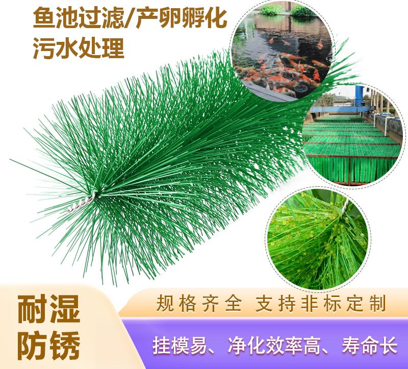 畫(huà)板 1 拷貝(1).jpg